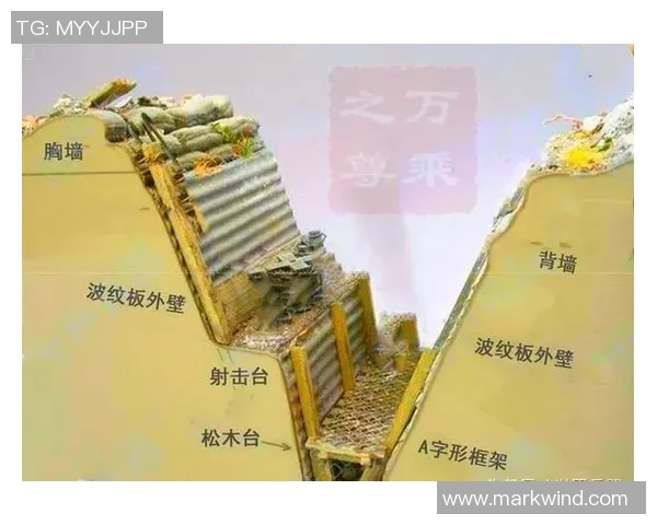 上海排球队防反战术解析与战绩提升的深度剖析