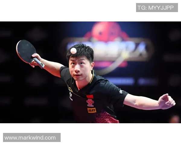 乒乓球传奇之旅：深入了解西安乒乓球队的默契与配合技巧