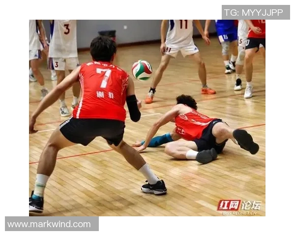 杭州排球队的拼搏之路:一段关于汗水与荣耀的排球纪实 杭州排球队的拼搏之路:一段关于汗水与荣耀的排球纪实